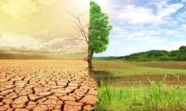 Training Course on Climate Change Adaptation