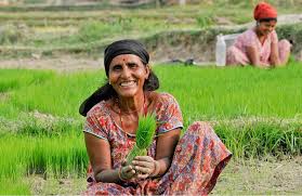 Training Course on Climate Change Impact Assessment on Agricultural Production