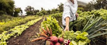Training course on Climate-Smart Agriculture for Development: Sustainable Farming Practices