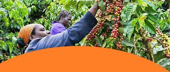 Consumer Cooperatives: Ethical Sourcing and Fair Trade for Consumer Co-ops Training Course