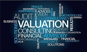 Training Course on Corporate Valuation and Investment Strategies