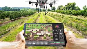 Training Course on Crop Modeling for Yield Prediction and Management