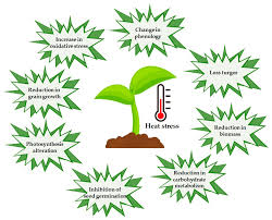 Training Course on Crop Physiology and Stress Management (Drought, Salinity, Heat)