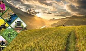 Training Course on Data Governance and Ethics in Digital Agriculture