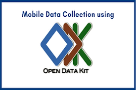 Training Course on Data Management using Open Hds and Odk