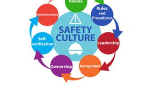 Training Course on Developing and Sustaining an Effective Safety Culture