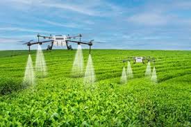 Training Course on Drone Operation and Data Analysis for Agricultural Applications