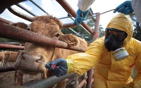 Training Course on Emergency Preparedness for Livestock Disease Outbreaks