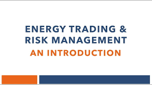 Training Course on Energy Trading, Risk Management and Pricing