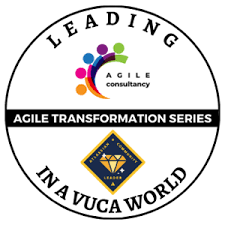 Training Course on Executive Leadership in an Agile and VUCA World