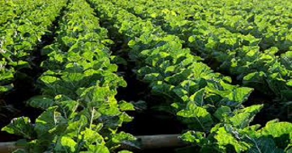 Training Course on Financing of Agribusiness Value Chains