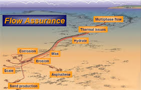 Training Course on Flow Assurance: Managing Flow Dynamics and Production Chemistry