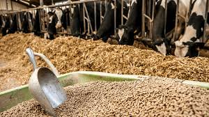 Training Course on Forage Production and Preservation for Livestock Feed