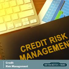Training Course on Fundamentals of Credit Risk Management