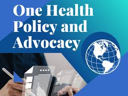 Training course on Gender and Health