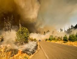 Training Course on Geographic Information Systems for Forestry and Wildfire Management