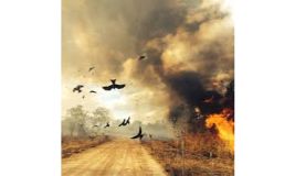 Training Course on GIS in Disaster Risk Management