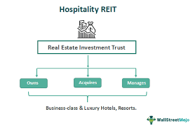 Training course on Hospitality Real Estate Investment and Management