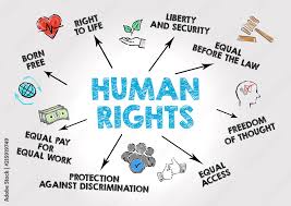 Training Course on Human Rights and Business