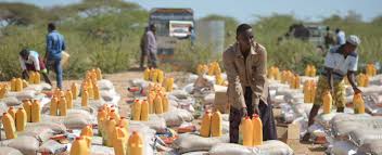 Humanitarian Intervention and Protection Training Course