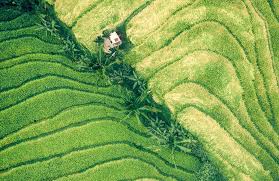 Training course on Land Rights and Development: The Role of Secure Tenure in Economic Progress