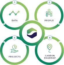 Training Course on Leading for Net-Zero: Decarbonization Strategies for Boards