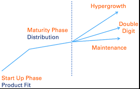 Training Course on Leading Hyper-Growth and Scalability Strategies