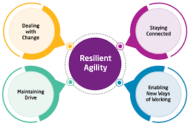 Training Course on Leading Through Resilience and Agility