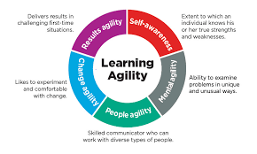 Training Course on Learning Agility: Agile Learning For HR Professionals