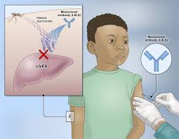Training course on Malaria Prevention and Control Strategies