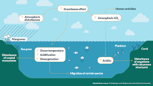 Training Course on Marine Biodiversity