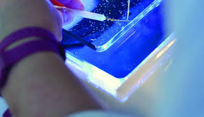 Training Course on Marine Biotechnology