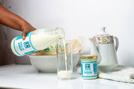 Training Course on Milk Processing and Value Addition at Farm Level