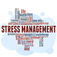 Training Course on Mindfulness and Stress Management for High-Pressure Environments