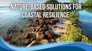 Training course on Nature-Based Solutions for Coastal Protection and Flood Mitigation