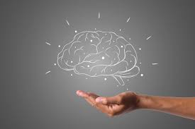 Training Course on Neuro-Leadership: Brain Science for Educational Practice