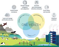 Training course  on One Health Approach to Disease Prevention and Control