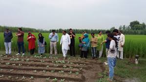 Training Course on Participatory Climate Risk Assessment for Farming Communities
