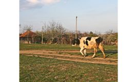 Training course on Participatory M and E for Rural Development and Community Programmes