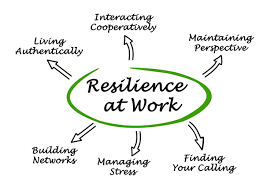Training Course on Personal Resilience and Well-being for Demanding Roles