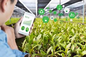Training Course on Precision Crop Scouting and Remote Diagnostics