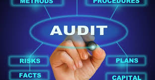 Training Course on Project Audit