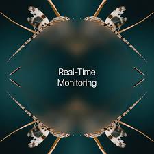 Training course on Real-Time Monitoring (RTM) and Adaptive Management in Social Protection