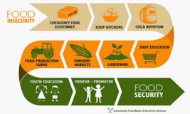 Training Course on Resilience in Food Security Analysis