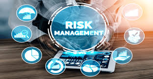 Training course on Risk Leadership in Renewable Energy