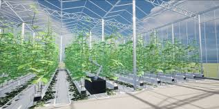 Training Course on Robotics for Greenhouse and Vertical Farm Operations
