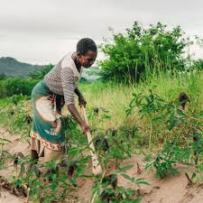 Training Course on Rural Agri-Entrepreneurship and Startup Incubation