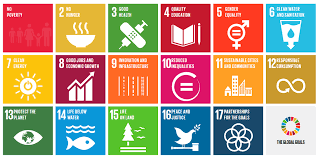 Training course on Social Protection for Achieving the Sustainable Development Goals (SDGs)