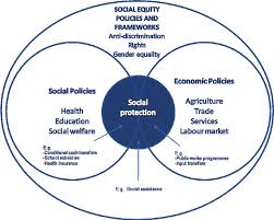 Training course on Social Protection Policy Implementation and Institutional Capacity