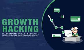 Training Course on Strategic Innovation and Growth Hacking